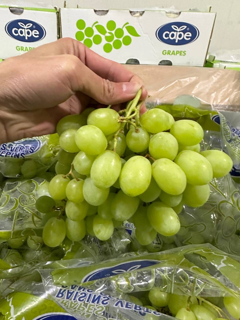 [Hoả tốc HCM] CPG Fresh - Nho xanh Sweet Globe Nam Phi Thùng 4.5kg
