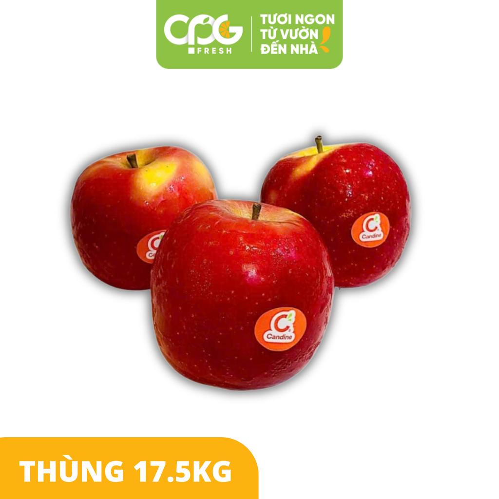 Táo Kẹo Candie Mini Pháp - Size 165