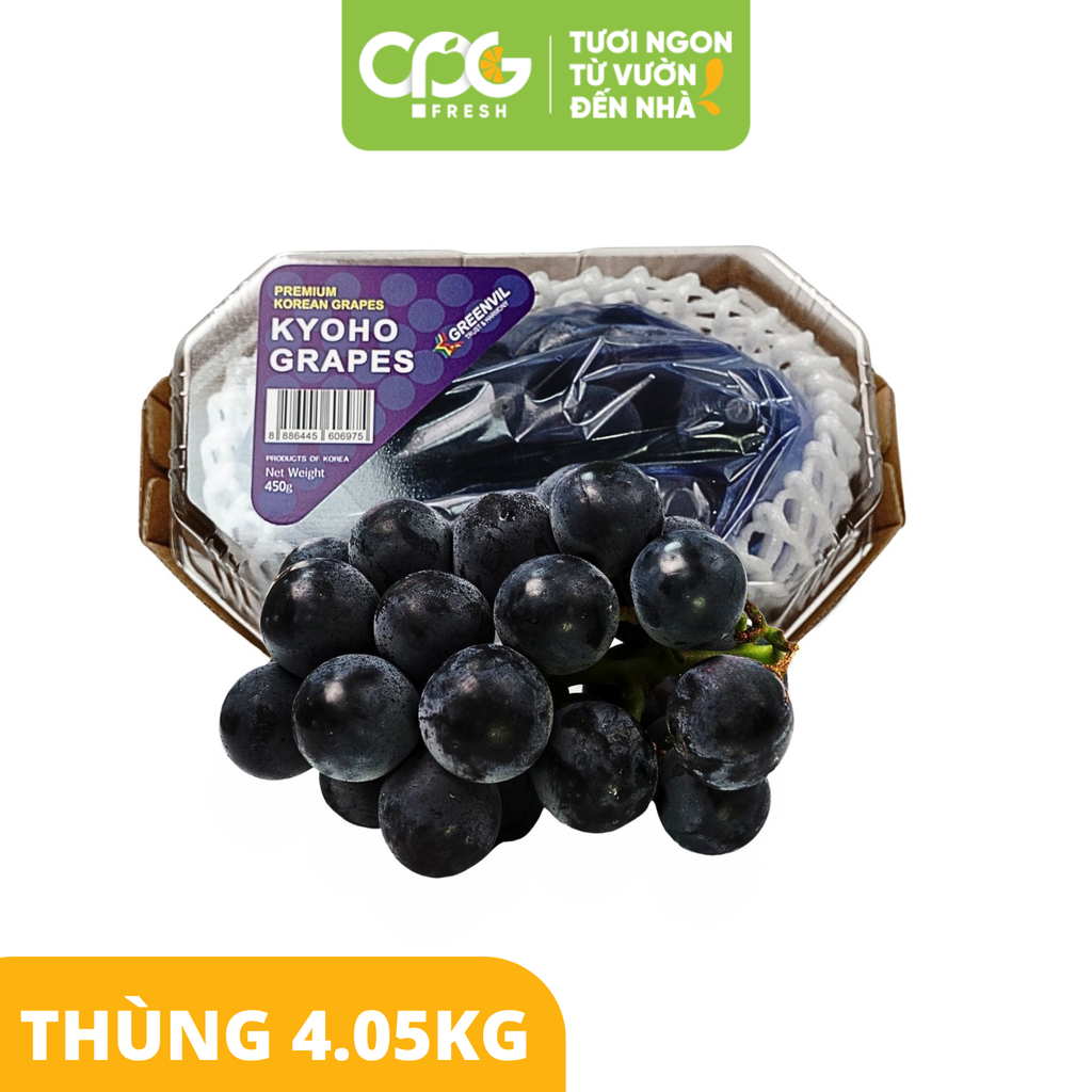Nho đen không hạt Kyoho Hàn Quốc (Size 25-30mm) Thùng 4.05kg (450g x 9 hộp)