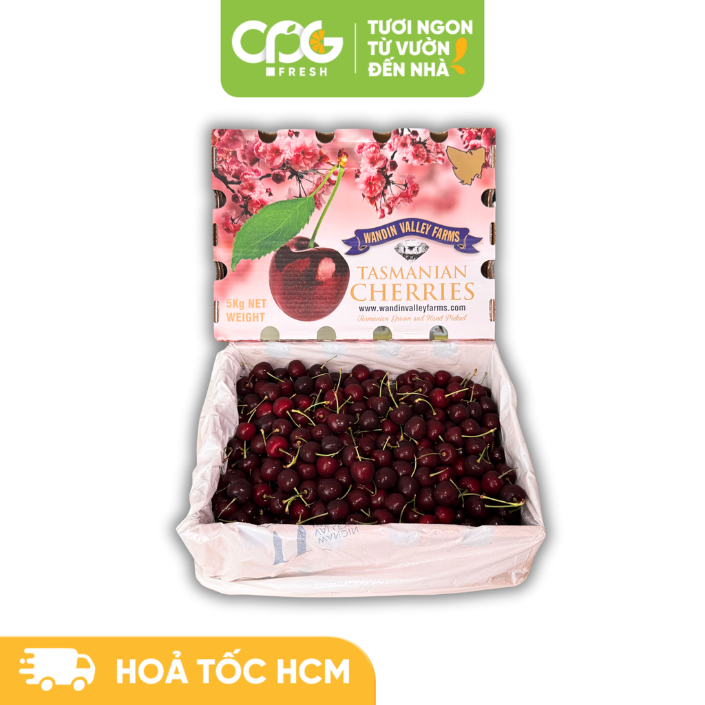 [Hoả tốc HCM] CPG Fresh - Trái Anh Đào Tươi Tasmania (26-28mm++) Thùng 5kg