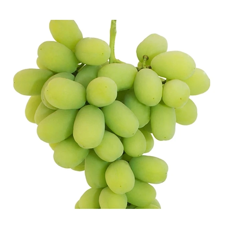 Nho xanh không hạt Sweet Globe Mỹ (22-25mm+) Thùng 8,6kg