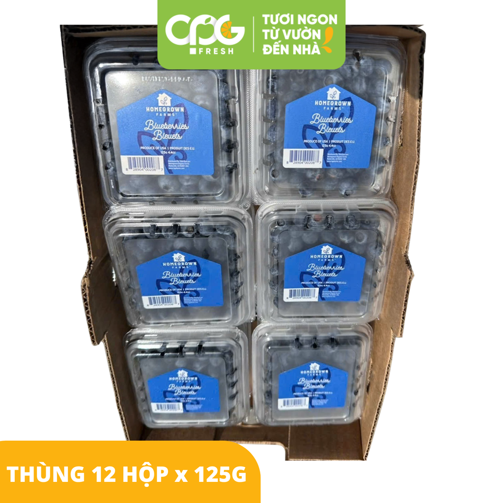 Việt Quất Mỹ - Hộp 125g