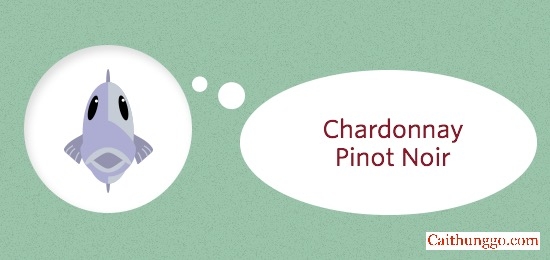 Kết Hợp Với Cá Béo
