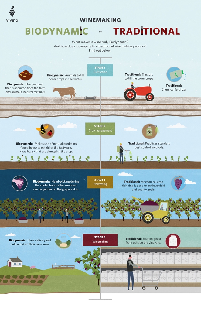 Rượu vang Biodynamic