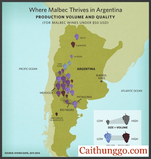 Sự Trỗi Dậy Của Malbec Ở Argentina