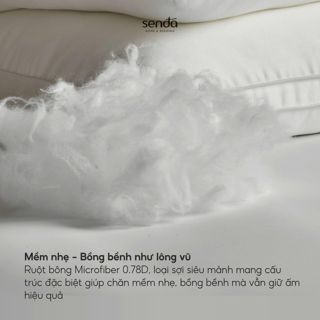 Ruột chăn Mây 220x200 bông Microfiber