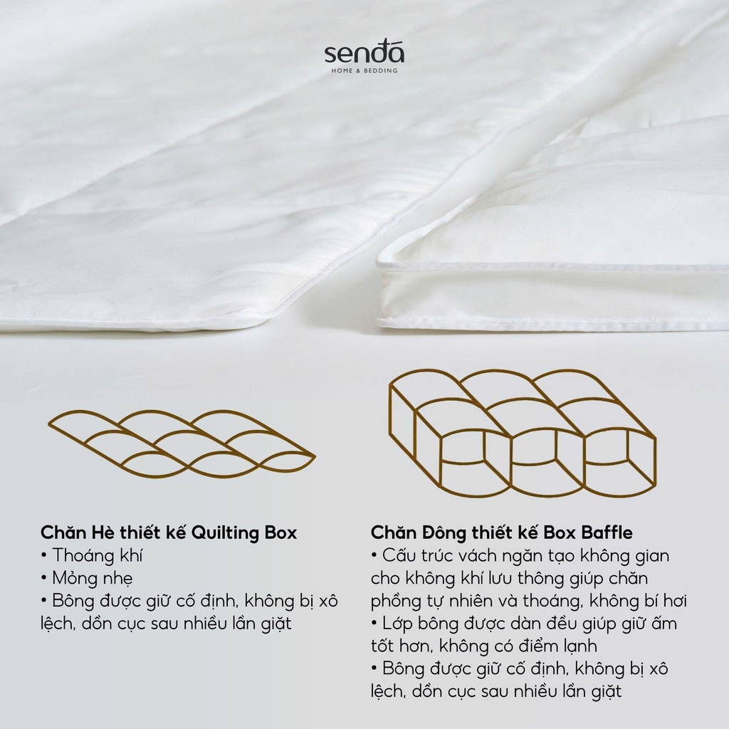 Ruột chăn Mây 220x200 bông Microfiber