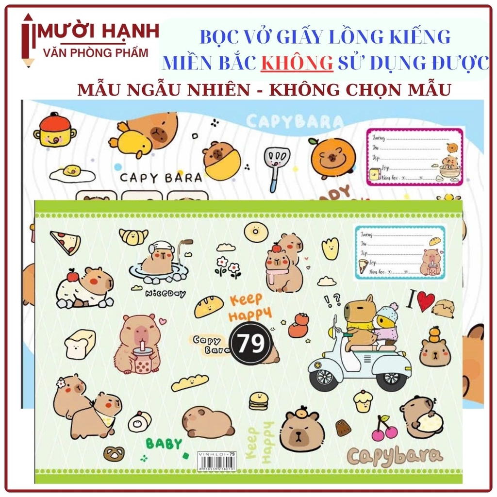 Bìa Bao Tập Kiếng Con Nai Màu và Hình (10 Tờ Cùng Loại/Bịch)