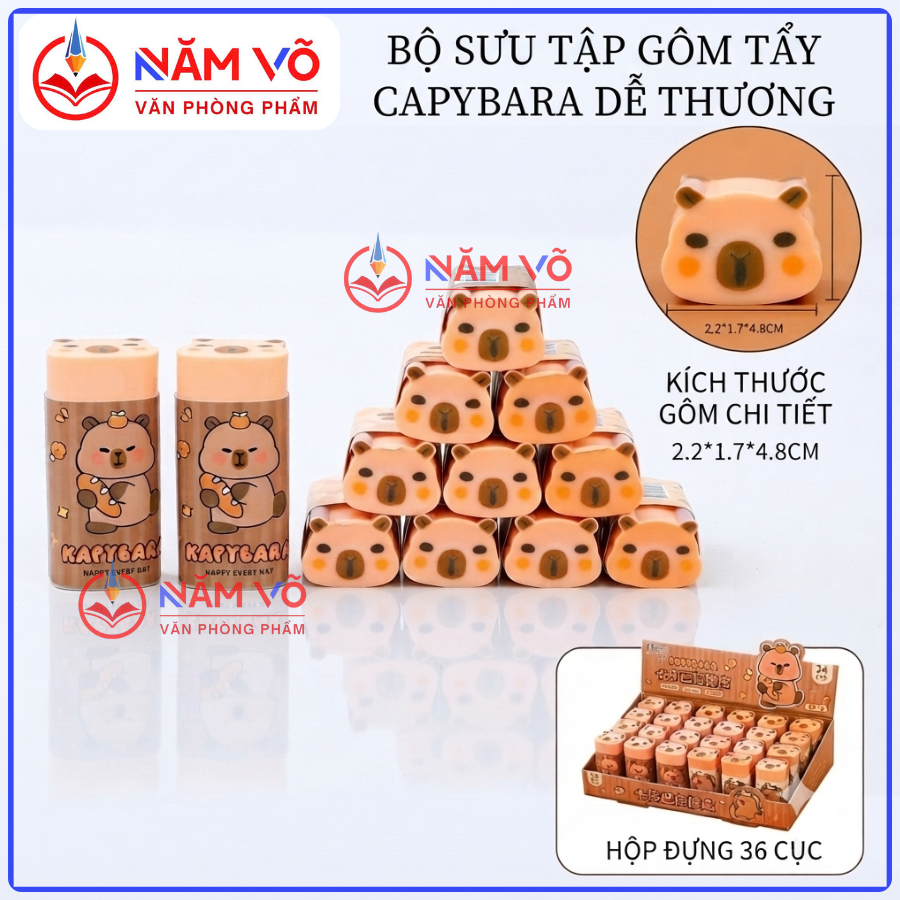 Gôm Cappy 6815 (24 Cái/Hộp, 48 Hộp/Thùng)