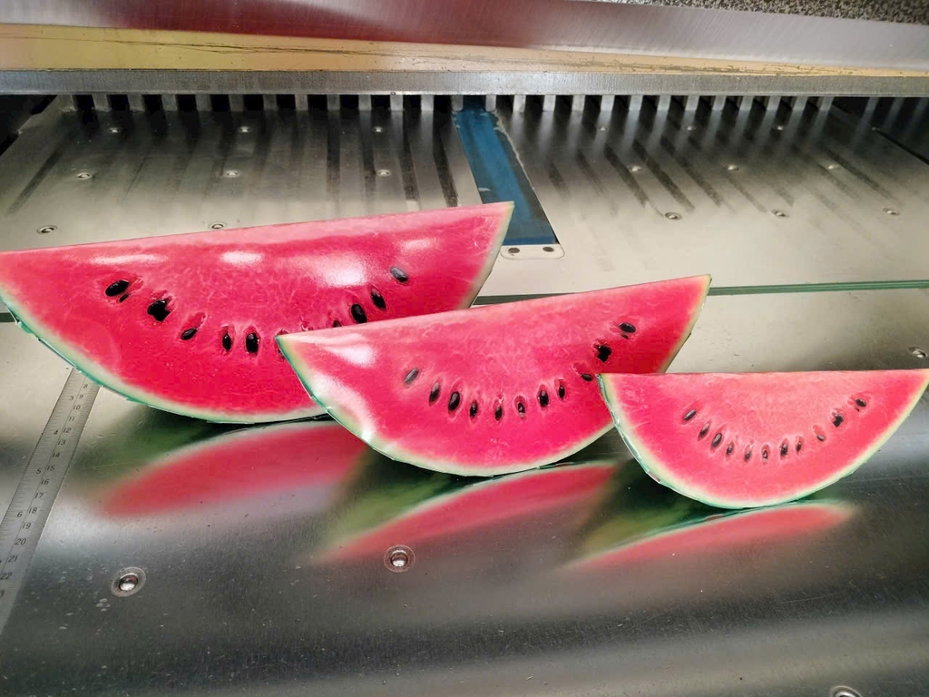 Sét 3 Loại Bánh Chưng, Bánh Tét, Dưa Hấu Trang Trí Tết (3 Loại/Sét)