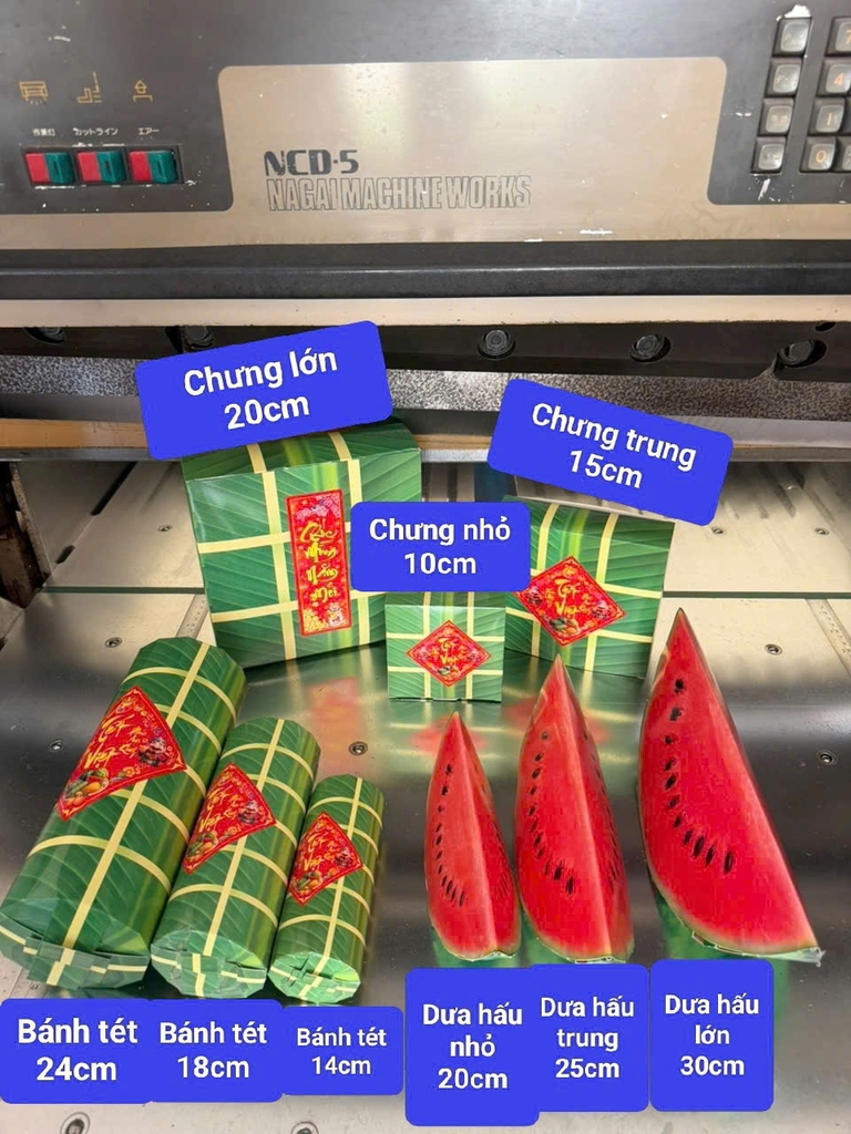 Sét 3 Loại Bánh Chưng, Bánh Tét, Dưa Hấu Trang Trí Tết (3 Loại/Sét)