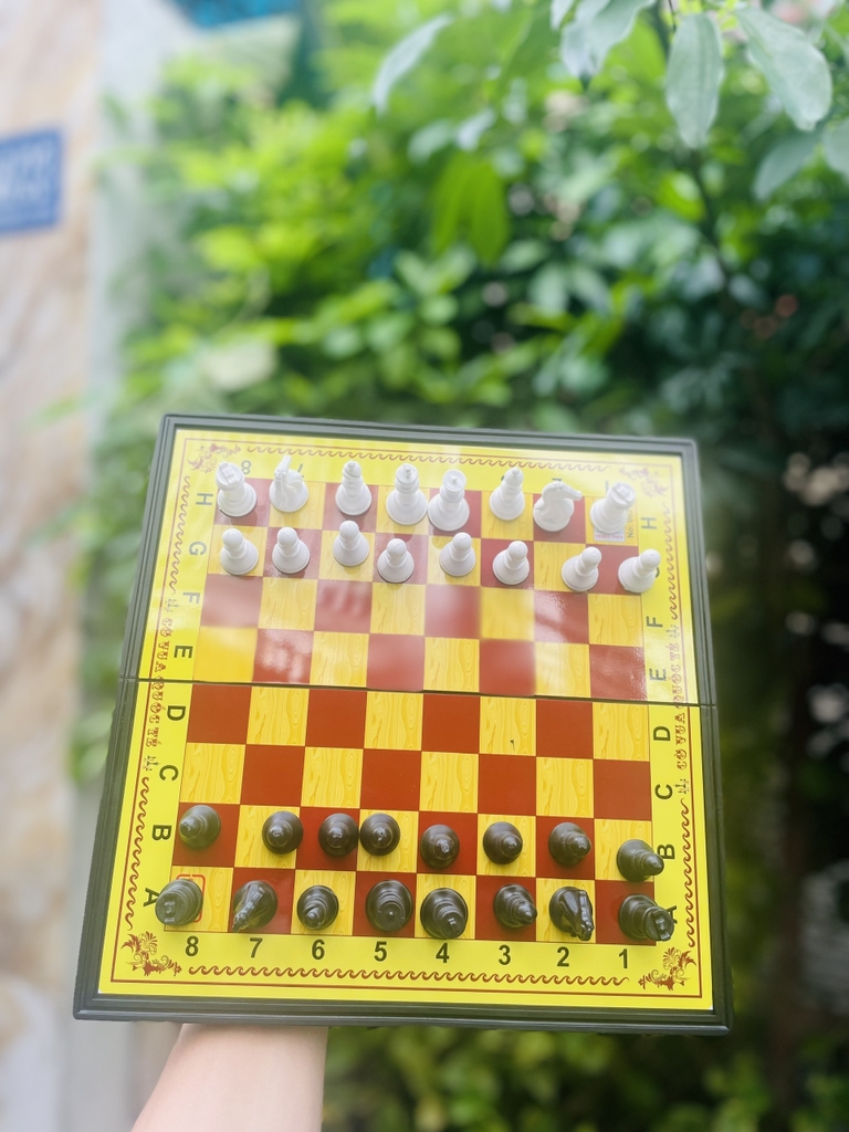 . Bàn CỜ VUA AIHAO HỘP NHỰA NAM CHÂM (Có Hộp Giấy Bên Ngoài) 28 x 28 cm (60 Hộp/Thùng) No.002