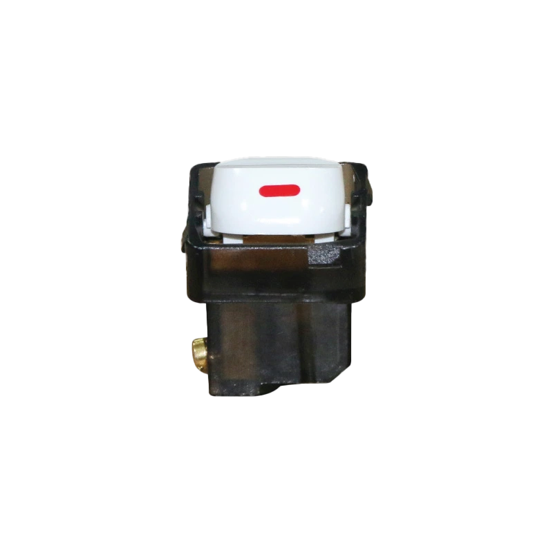 A30/1 - Công tắc 1 chiều 10A
