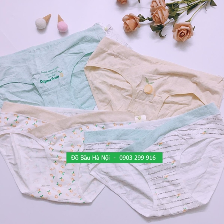 Set quần lót bầu 4 chiếc, quần chip bầu cotton mềm,thoáng, mát
