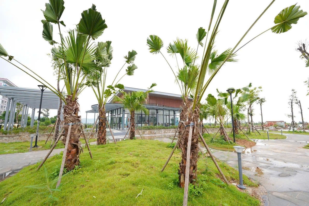 Cập nhật tiến độ dự án Quảng Yên Centro - Quảng Ninh