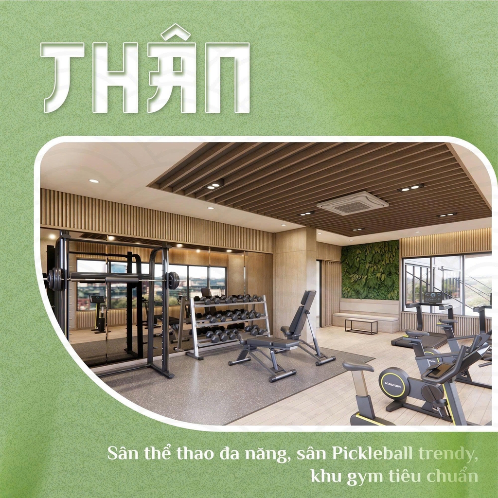 Khu gym hiện đại tại An Zen Residences.
