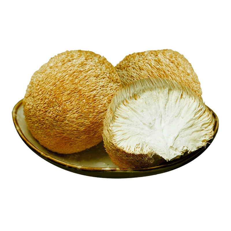 [Thịt Dày] Nấm Hầu Thủ - Nấm Đầu Khỉ khô nguyên chất - cực tốt cho dạ dày (200g & 250g)