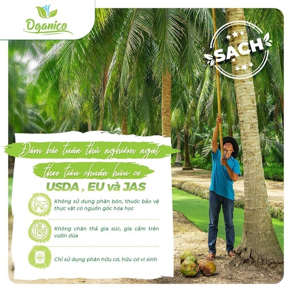 DẦU DỪA VIETCOCO- Nấu Ăn - Dưỡng Tóc , Dương Da 250ml uy