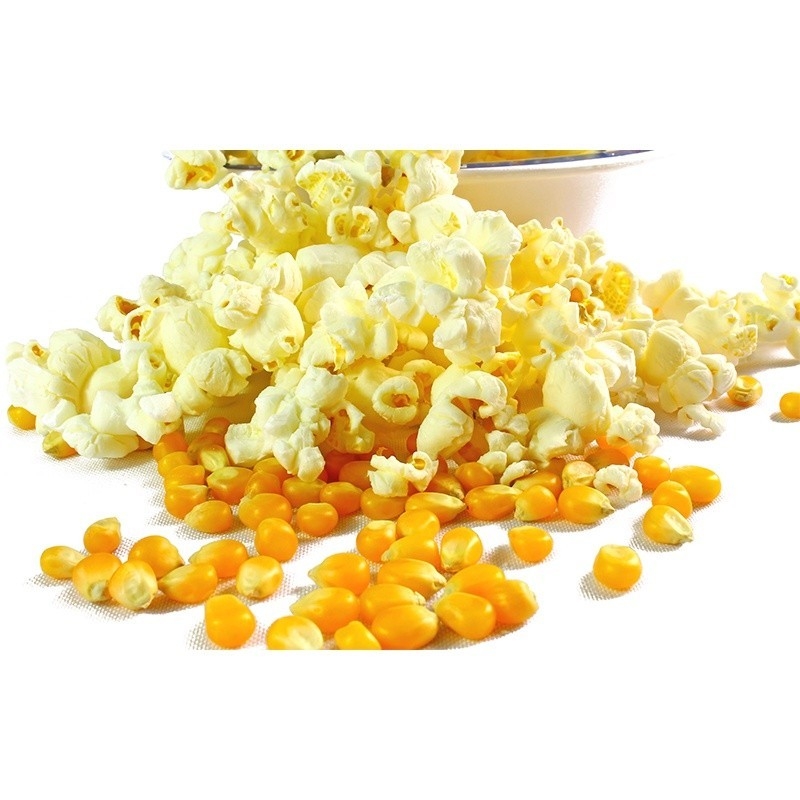 250G ngô mỹ làm bắp rang bơ ( bỏng ngô ) ngô nổ ( bắp nổ ) POPCORN