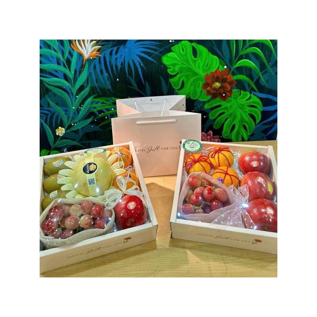 SET 5 Bộ Hộp Vuông 27x27x16  Kèm Túi Xách - Đựng trái cây , Set Quà Tặng