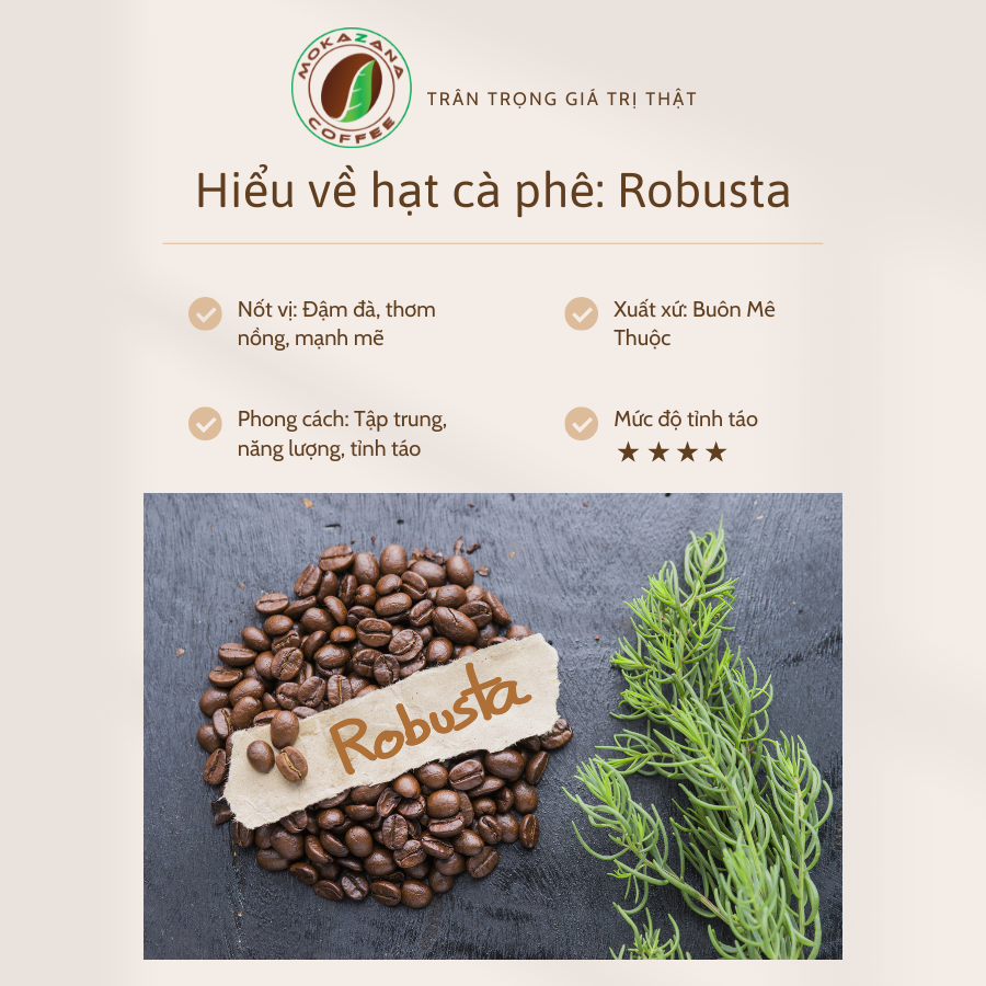 Robusta - Niềm Tự Hào Cà Phê Việt Nam