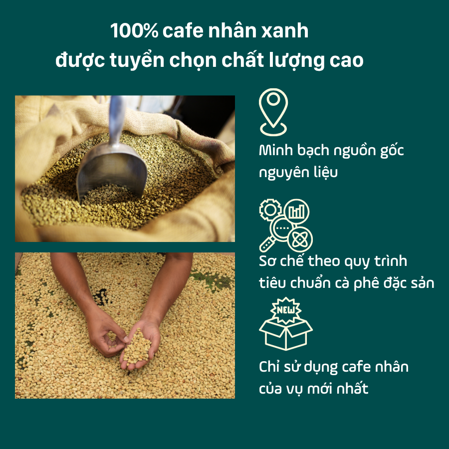 Cà Phê Robusta Honey Rang Vừa – Hương Vị Đậm Đà, Hậu Ngọt Thanh, Gu Việt Đích Thực | Mokazana Coffee