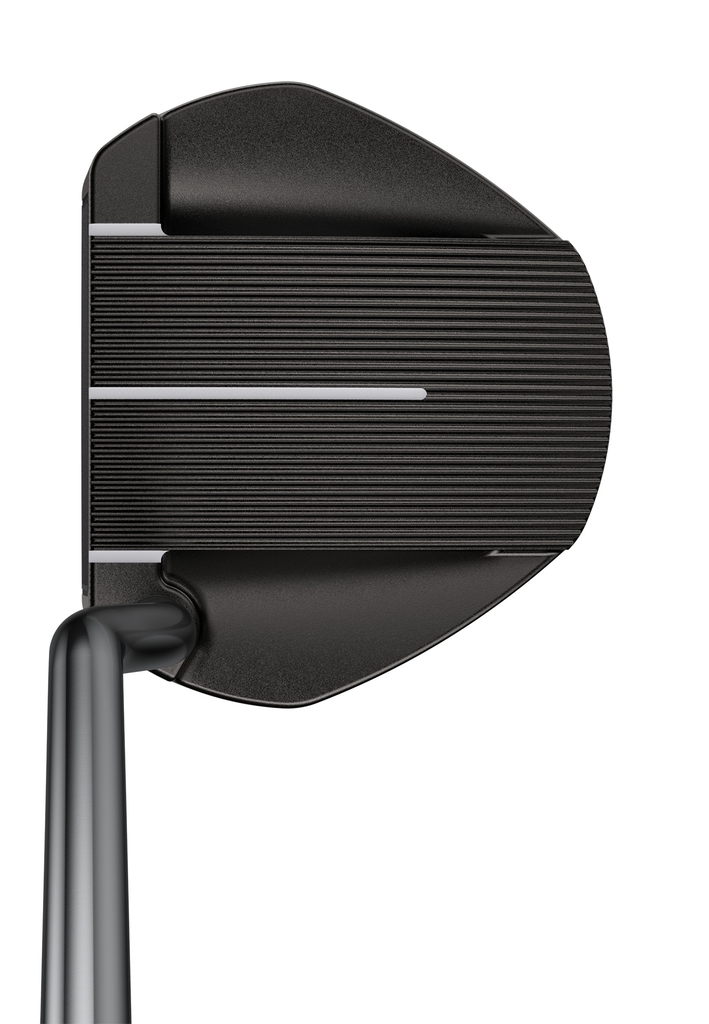 2021 PUTTERS FETCH