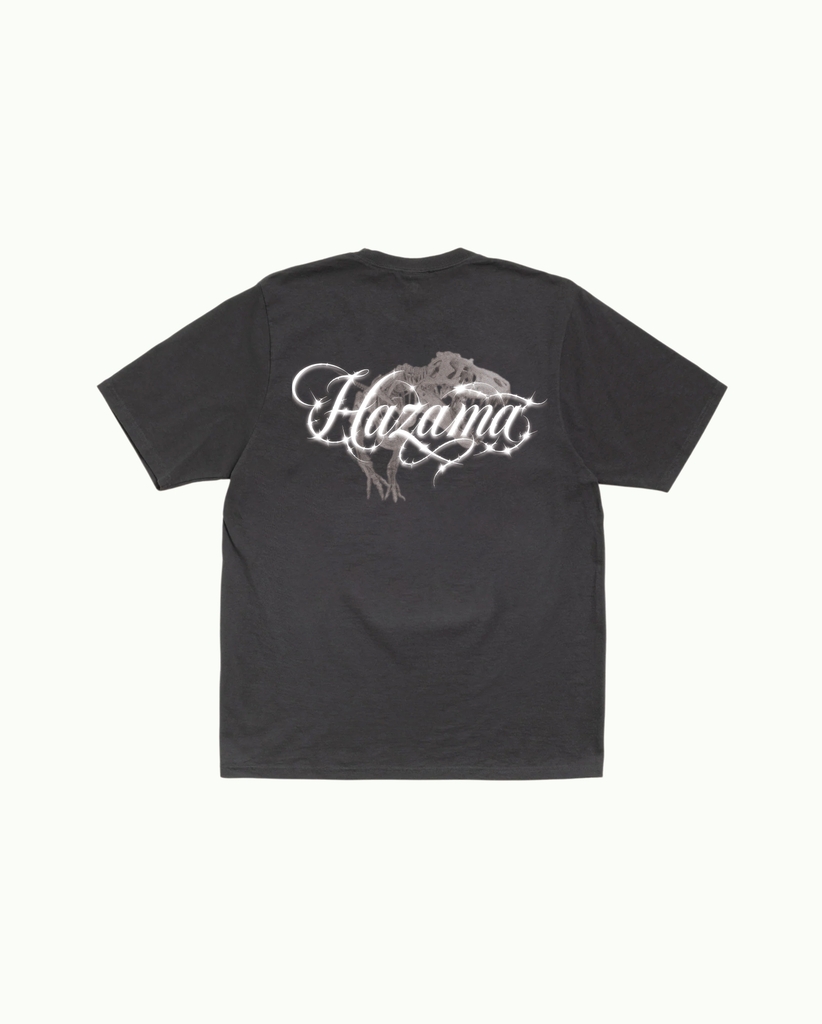 Hazama Luminous Script