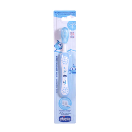 Bàn chải đánh răng cá xanh /hình bướm hoa /hình rùa con Chicco