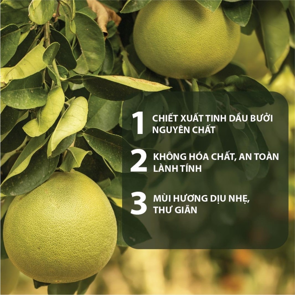 Bộ gội xả Milaganics tinh dầu bưởi kích thích mọc tóc 250ml/chai
