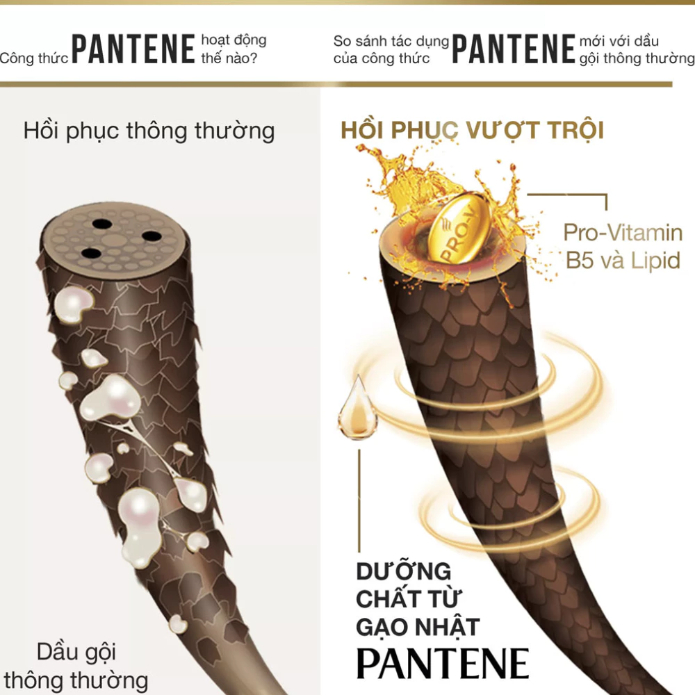 Bộ gội xả Pantene phục hồi hư tổn 900ml + 150ml