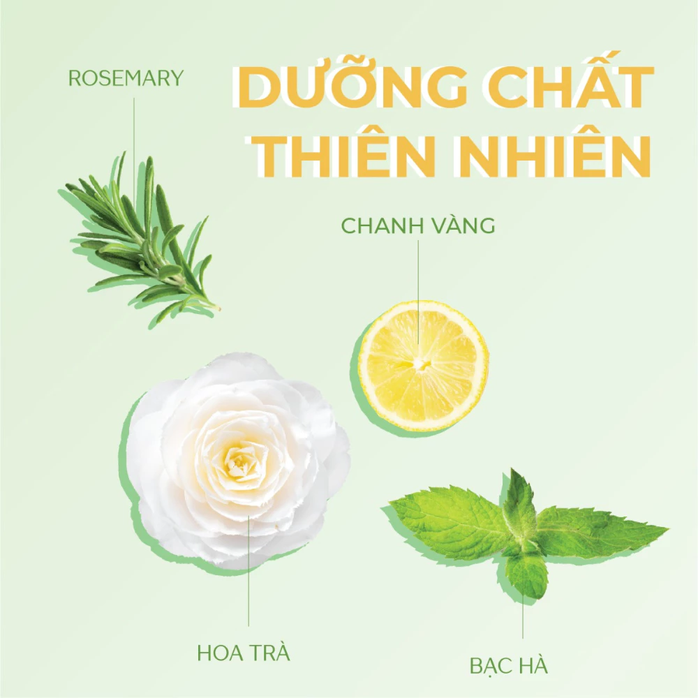 Bộ gội xả Tsubaki sạch dầu mát lạnh (490ml/chai)