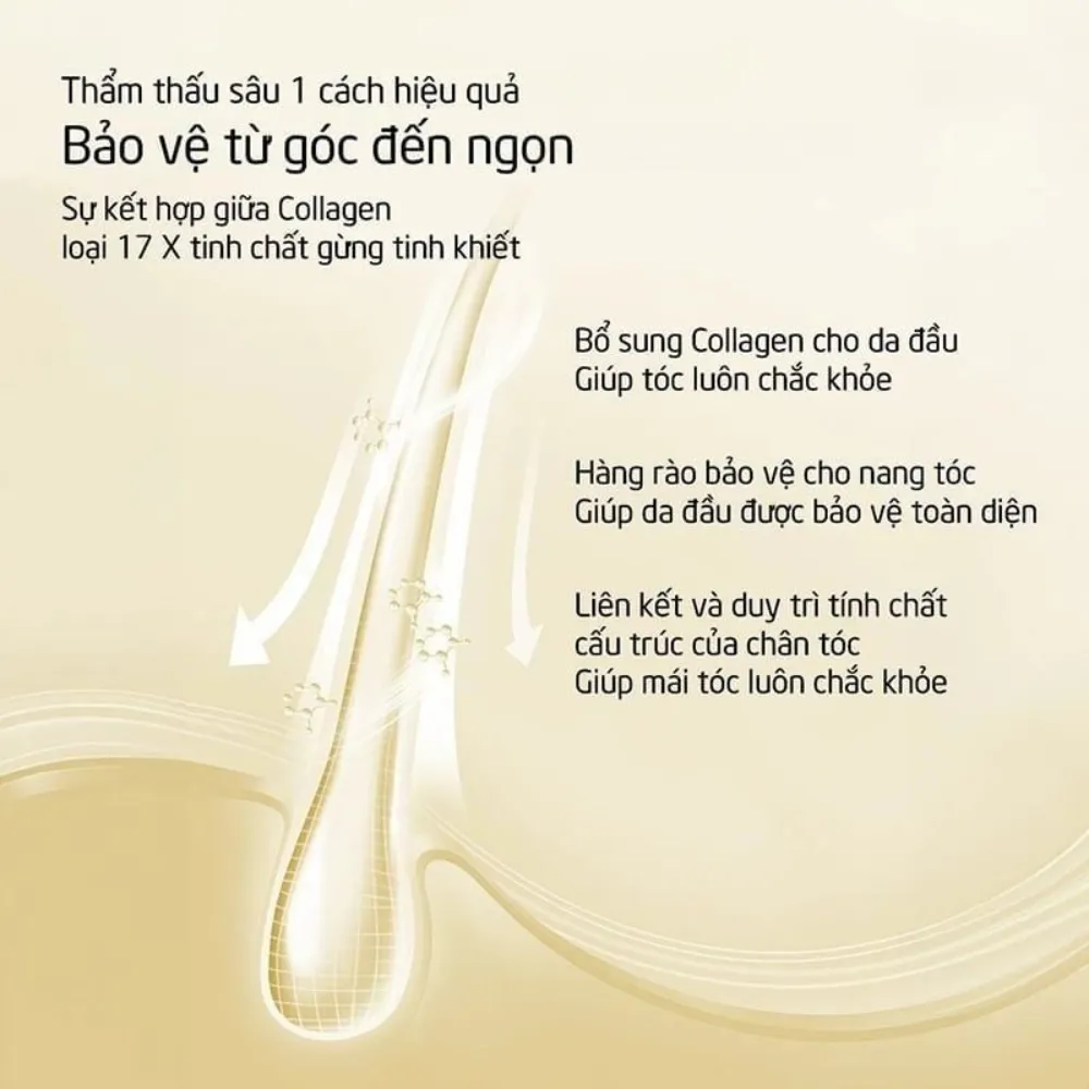 Dầu gội Spes collagen gừng 200ml