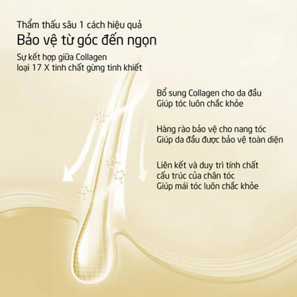 Dầu gội Spes collagen gừng 500ml