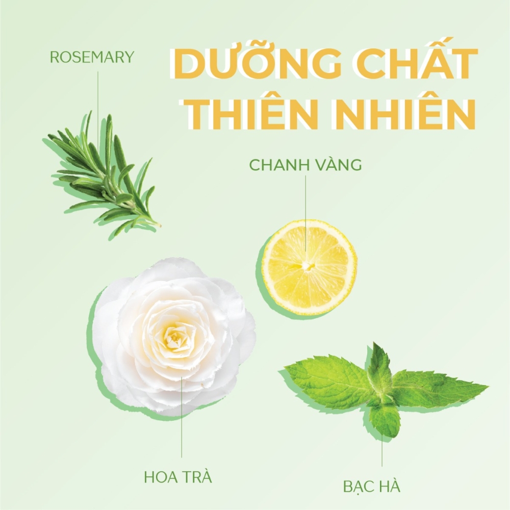 Dầu gội Tsubaki sạch dầu mát lạnh 490ml