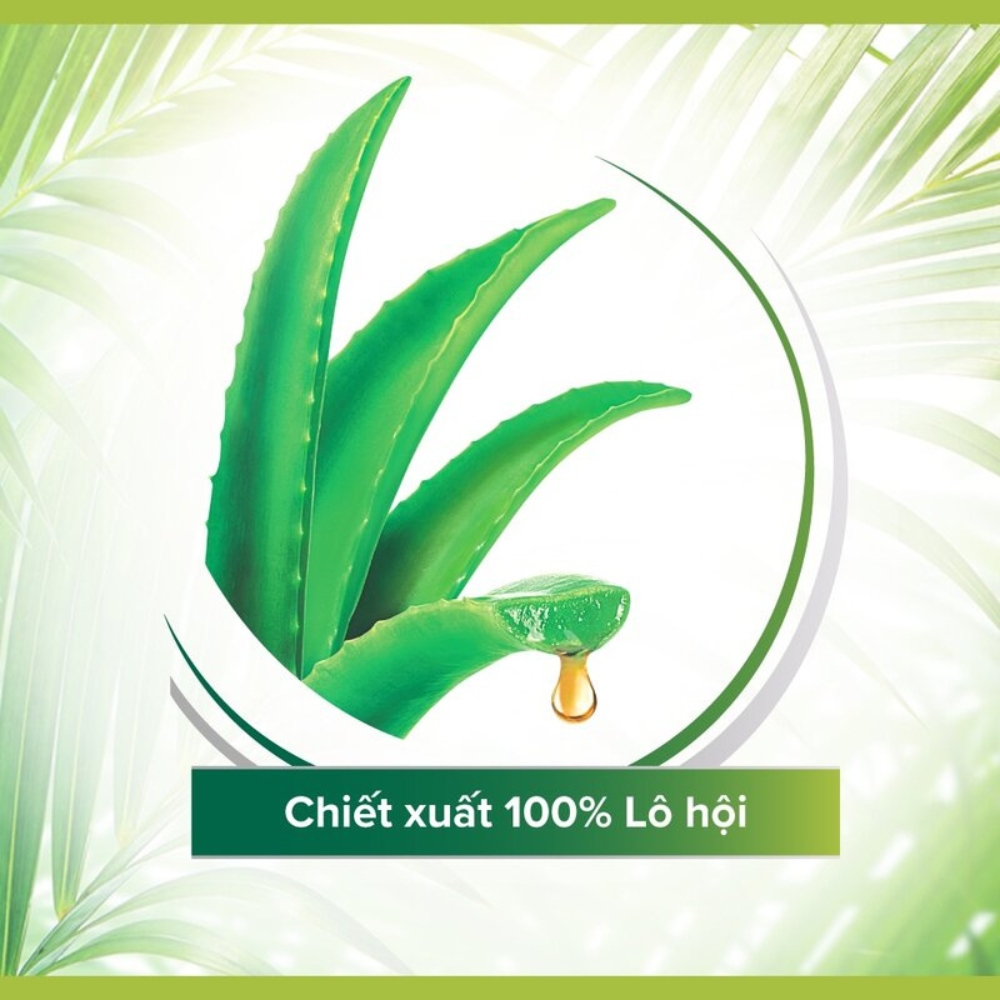 Dầu gội xả 2in1 Palmolive dưỡng tóc chắc khỏe từ nha đam 600ml