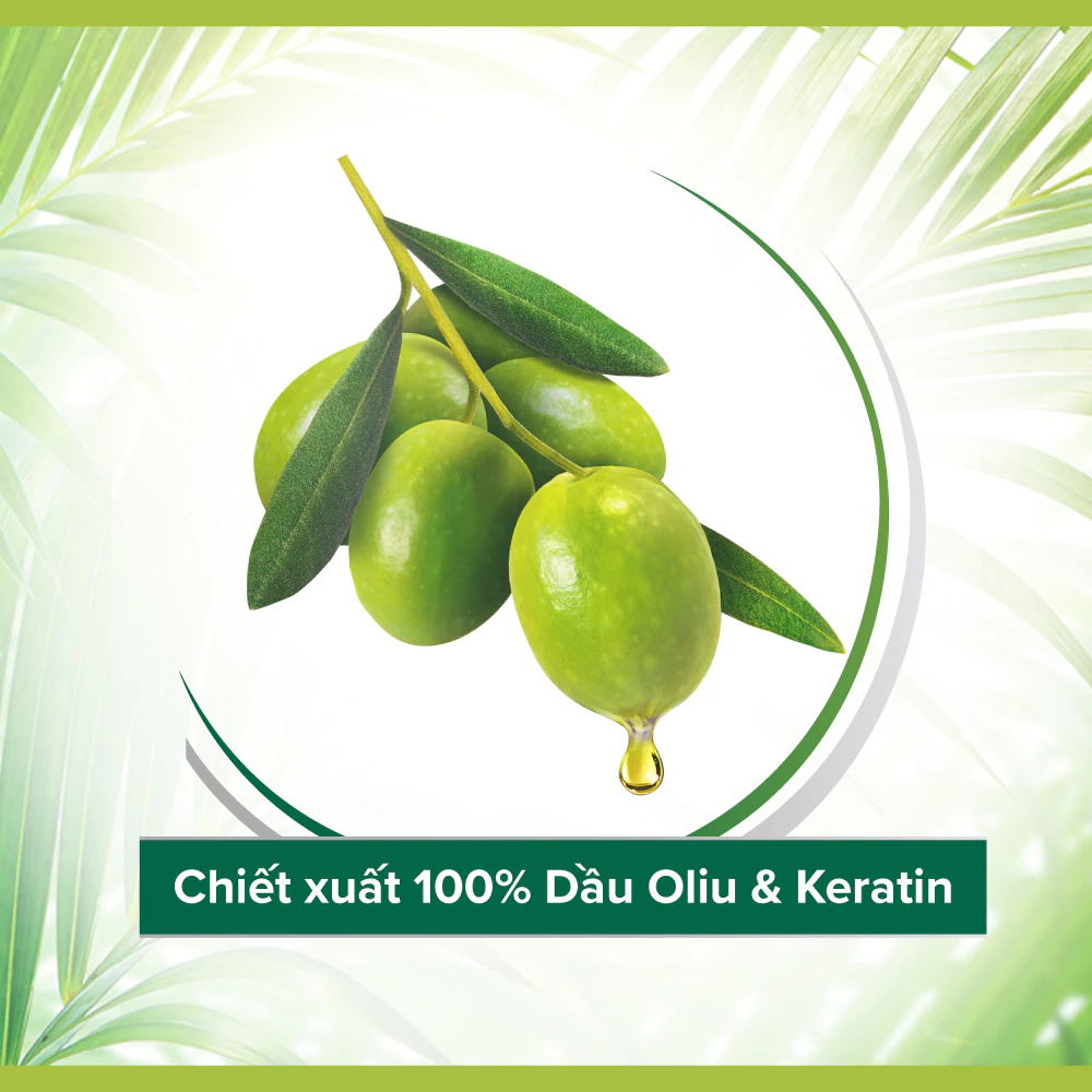 Dầu gội xả 2in1 Palmolive suôn mượt từ dầu olive và keratin 600ml