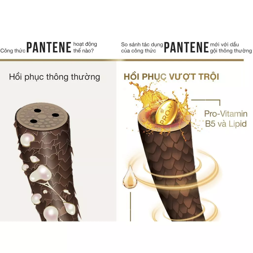 Dầu xả Pantene ngăn rụng tóc 300ml/650ml