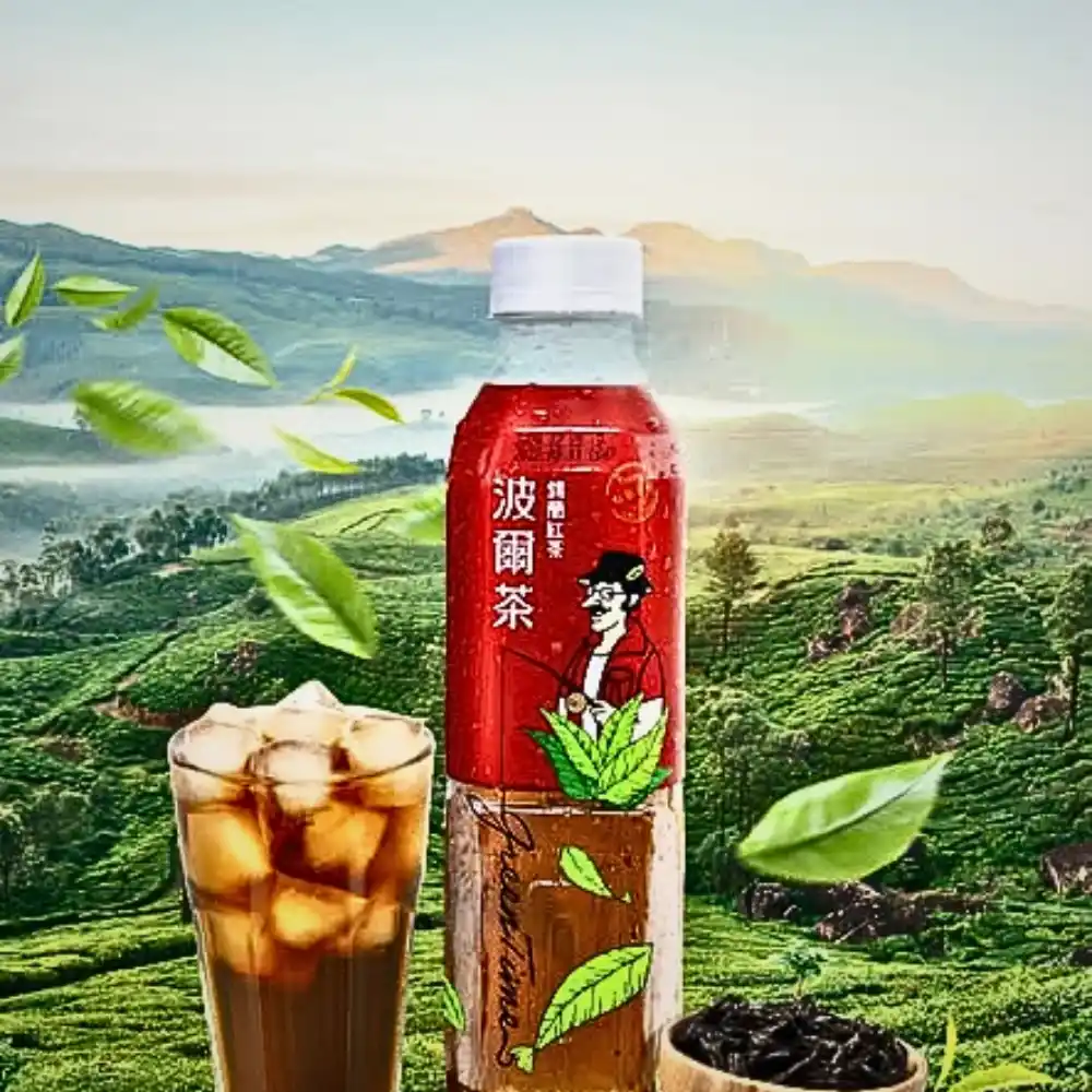 Lốc 6 chai hồng trà Ceylon Green Time 580ml