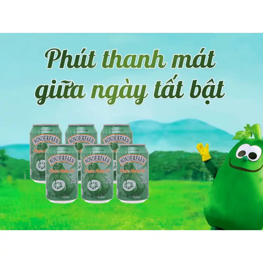 Lốc 6 lon trà bí đao Wonderfarm 310 ml