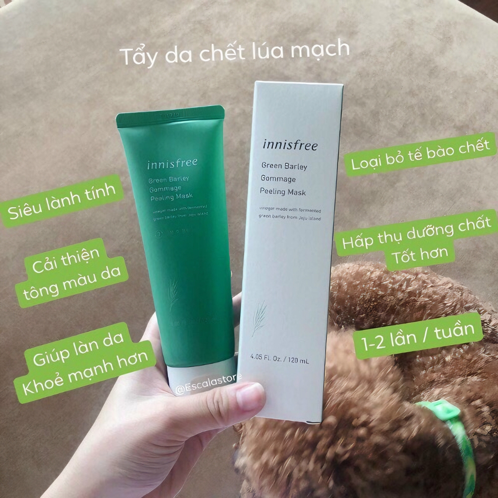 Mặt nạ tẩy tế bào chết innisfree từ Lúa Mạch Xanh 120ml
