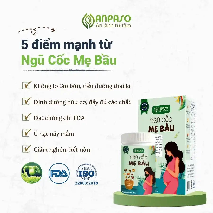 Ngũ cốc mẹ bầu Anpaso 500g