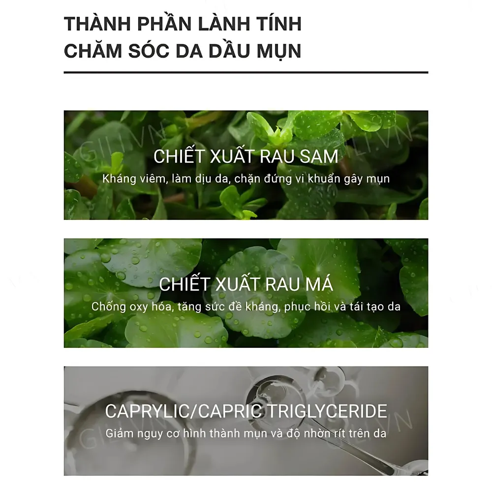 Nước tẩy trang Caryophy 500ml