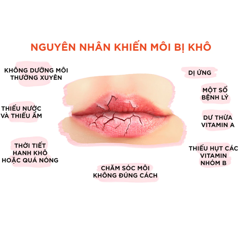 Son dưỡng môi DHC không màu hỗ trợ giảm thâm môi 1.5g