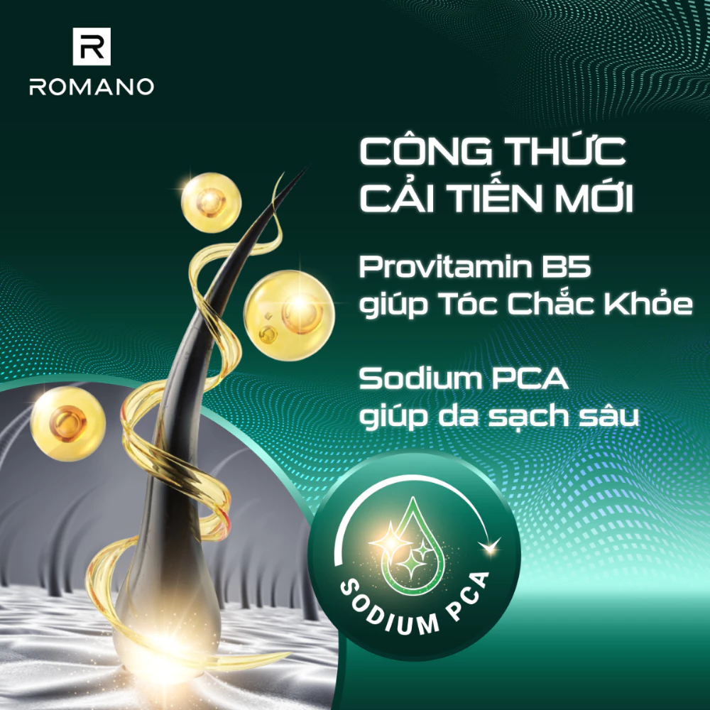 Tắm gội 2 trong 1 Romano hương nước hoa Gentleman 650g