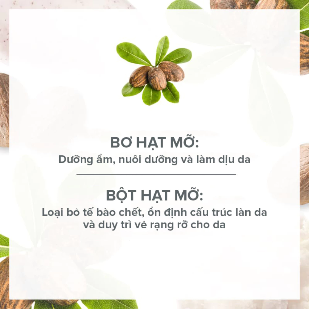 Tẩy da chết toàn thân Evoluderm bơ hạt mỡ cho da khô 150ml
