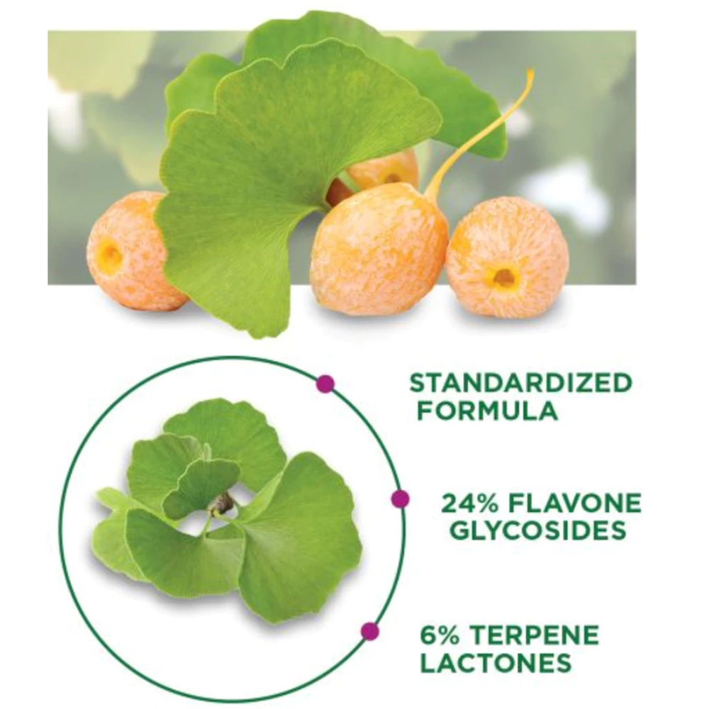 Viên uống bổ não Trunature Ginkgo Biloba 120mg 340 Viên