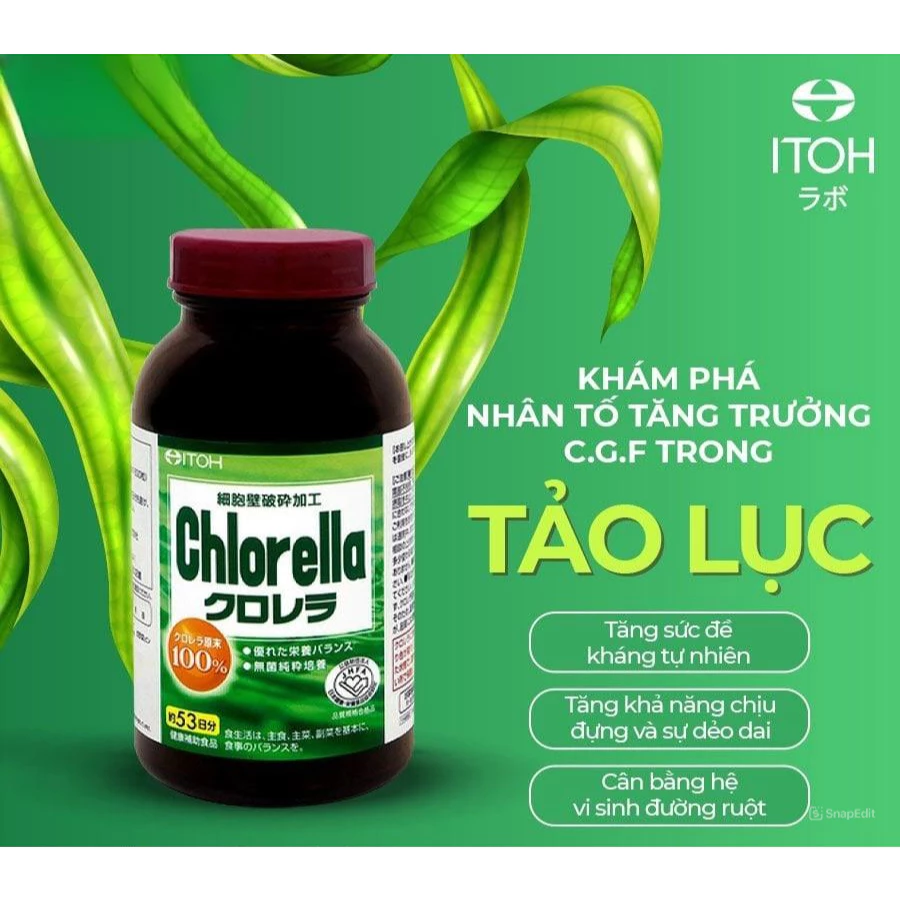 Viên uống tảo lục Naris Cosmetic ITOH Chlorella 1440 viên