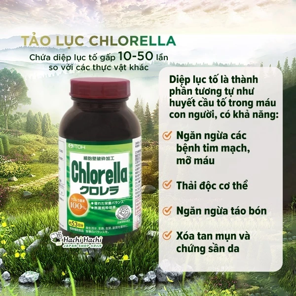 Viên uống tảo lục Naris Cosmetic ITOH Chlorella 1440 viên