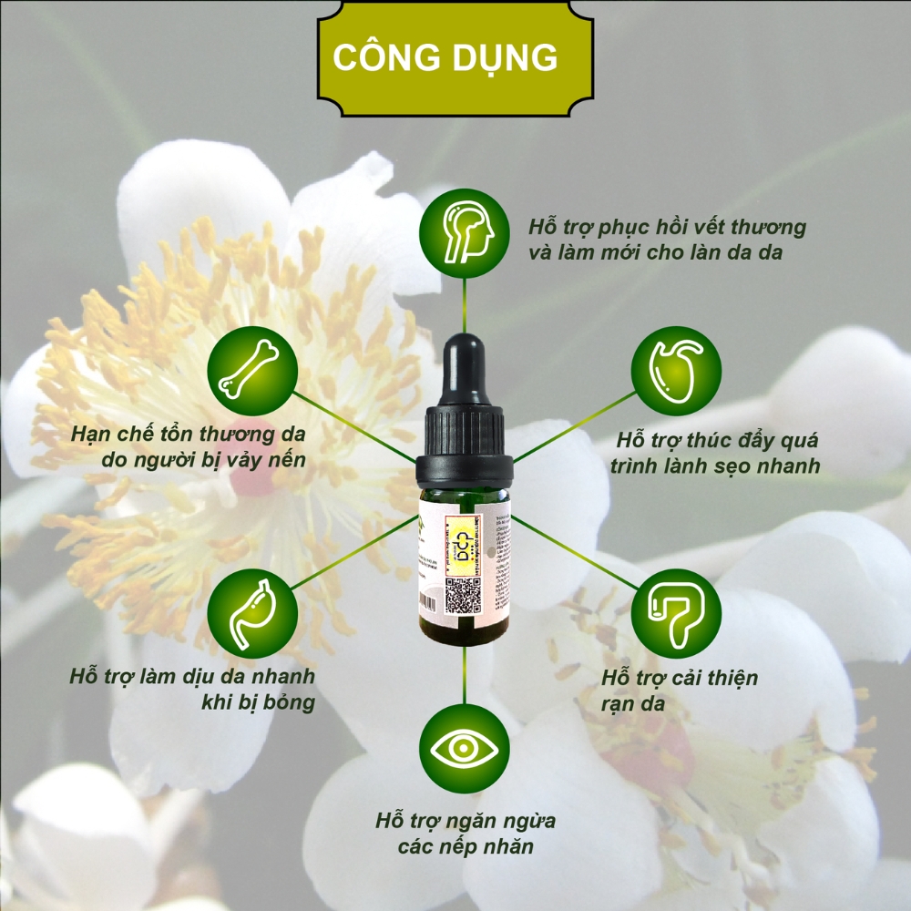 Dầu mù u Tây Đô Đại Phú An (C/10ml)